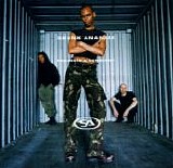 Skunk Anansie - Paranoid And Sunburnt
