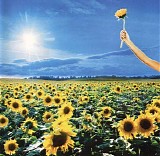 Stone Temple Pilots - Thank You
