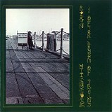 Robyn Hitchcock - I Often Dream Of Trains