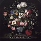 The Wild Swans - The Coldest Winter For A Hundred Years