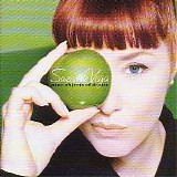 Suzanne Vega - Nine objects of desire