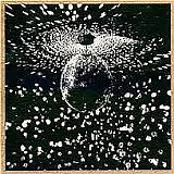 Neil Young - Mirror Ball