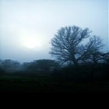 White Oak - Contouren van het Niets