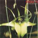 Psychic TV - Dreams Less Sweet