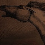 Julian Lynch - Mare