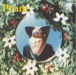 Pram - Telemetric Melodies