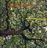 Quickspace Supersport - Precious Falling