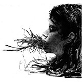 Parenthetical Girls - Entanglements