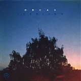 Orcas - Yearling