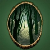 The Dear Hunter - The Color Spectrum (Green)