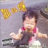 Reel Big Fish - Everything Sucks