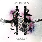 Assemblage 23 - Bruise