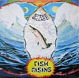 Steve Hillage - Fish Rising
