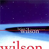 Brian Wilson - Imagination