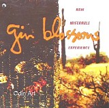 Gin Blossoms - New Miserable Experience (1992) mp3