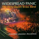 Widespread Panic - Another Joyous Occasion (2000) flac