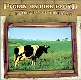 Various artists - Pickin' on Pink Floyd: A Bluegrass Tribute
