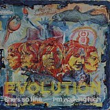 Evolution - She's So Fine