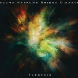 Tacoma Narrows Bridge Disaster - Exegesis