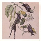 Susumu Yokota - Sakura