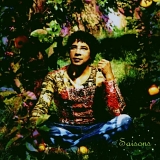 Laurent Voulzy - Saisons