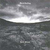 David Darling - Dark Wood