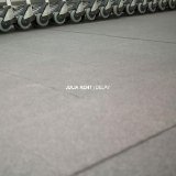 Julia Kent - Delay