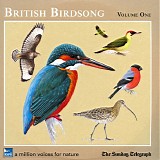 Sounds - British Birdsong Volume One