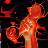 Peter Gabriel - Secret World Live