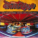 The Waterboys - Room To Roam (Collectors Edition)