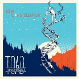 Toad The Wet Sprocket - New Constellation