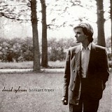 Sylvian, David - Brilliant Trees