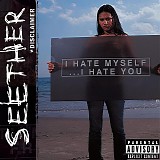 Seether - Disclaimer