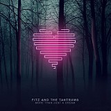 Fitz And The Tantrums - More Than Just A Dream