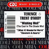 Terence Trent D'Arby - Wishing Well