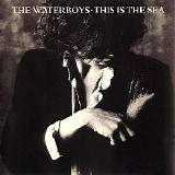 The Waterboys - This Is The Sea