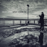 David Weiss - When Words Fail