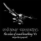 Various artists - The Colors Of Sound Breathing V.1