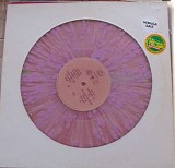 Veruca Salt - American Thighs