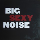 Big Sexy Noise - Trust The Witch