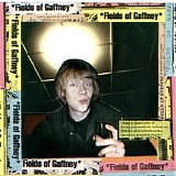 Fields of Gaffney - Cold Weather / Twilight