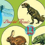 Various Artists - Bloodshot Records Promo Sampler 13