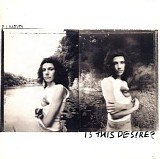 PJ Harvey - Is This Desire?