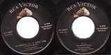 The Ames Brothers - The Naughty Lady Of Shady Lane/Addio (US)
