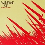 Wishbone Ash - Number The Brave