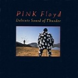 Pink Floyd - Delicate Sound Of Thunder