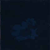 Bright Eyes - Digital Ash In A Digital Urn