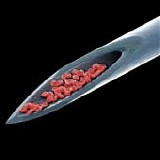 Peter GABRIEL - 2012: Live Blood