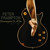 Peter Frampton - Hummingbird In A Box