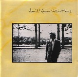 David Sylvian - Brilliant Trees